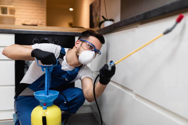 Best Termite Control Services  in Minneapolis, KS