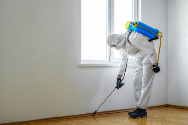 Pest Control for Restaurants in Minneapolis, KS